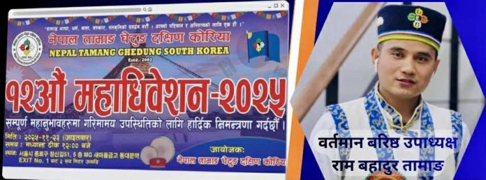 0d494de1955970ae1aa74e1256ea6d85