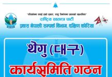 दक्षिण कोरियाको थेगुमा रास्वपाको कार्यसमिति गठन हुने