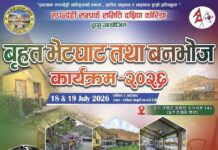 दक्षिण कोरियामा विशेष भेटघाट तथा वनभोज कार्यक्रम हुँदै